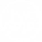 logo blanc +web